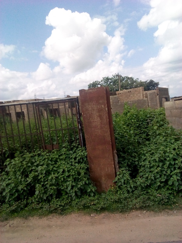 Investigation: Weeds, Reptiles, Take Over Multi-Million Naira Oyo FM Station