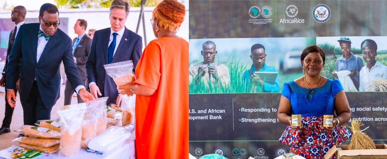 United States, African Development Bank forge stronger ties to boost food production