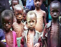 NGO raises alarm over high rate of malnutrition among children in Nigeria