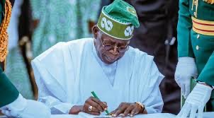 Ohanaeze backs Tinubu's controversial tax reform bill