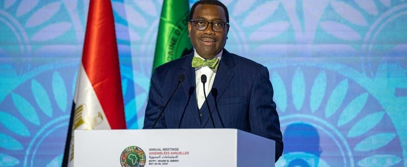 Africa Day: ‘Let’s put our resources at risk behind Africa’s young people’ - Adesina