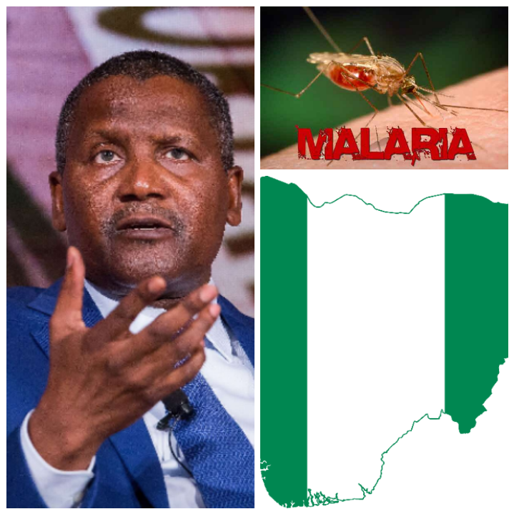 COVID - 19: We must not allow the strides made in reducing malaria scourge slide, Dangote warns