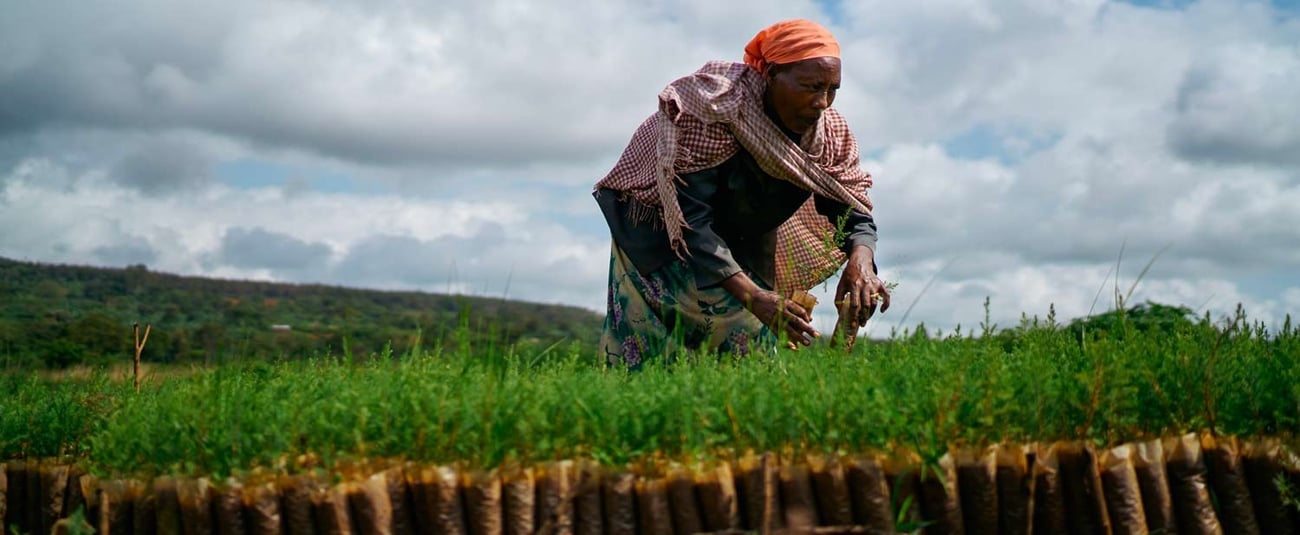 Ethiopia: African Development Fund grants $46 million to improve access to water and sanitation for pastoral communities in the Borana region