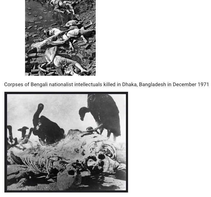 The Legacy of the 1971 Bangladesh Genocide