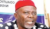 Ohaneze Election: Uche Okwukwu Promises to Unite Igbos