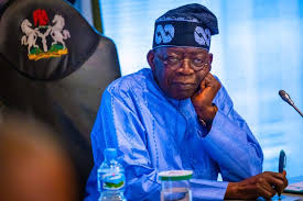 Reflect on your historical missteps from 1999 to 2023 – Ohanaeze mocks NEF over ‘regret’ for supporting Tinubu