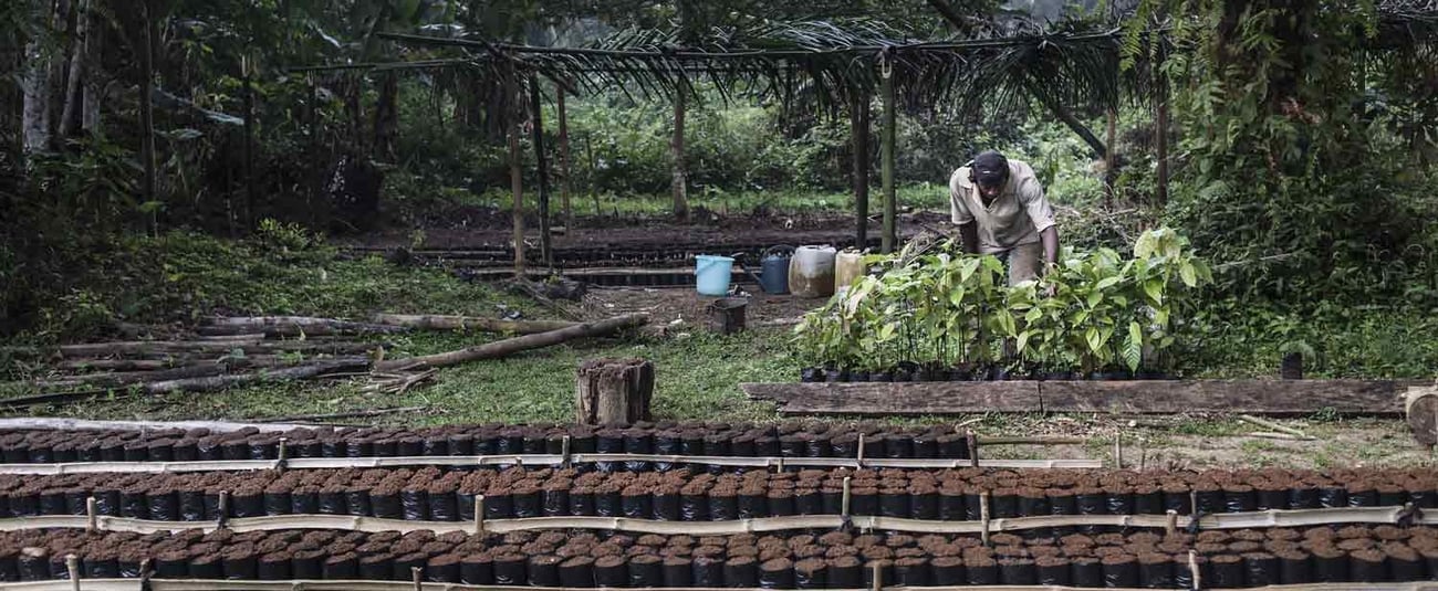 Mozambique: African Development Fund approves $20 million to improve business environment and drive investments to climate-smart agriculture