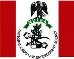 NDLEA alerts on plot to introduce lethal synthetic opioid, fentanyl to Nigerian market