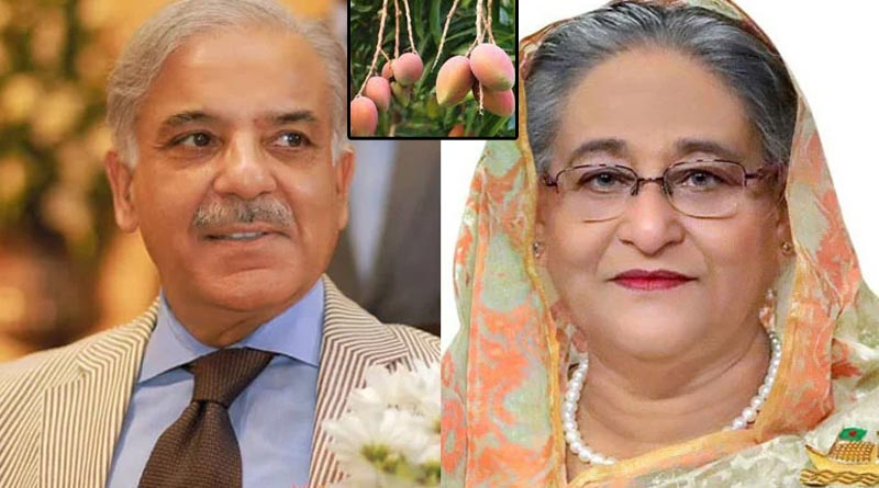 Bangladesh PM Sheikh Hasina's 'Mango diplomacy' with Pakistan
