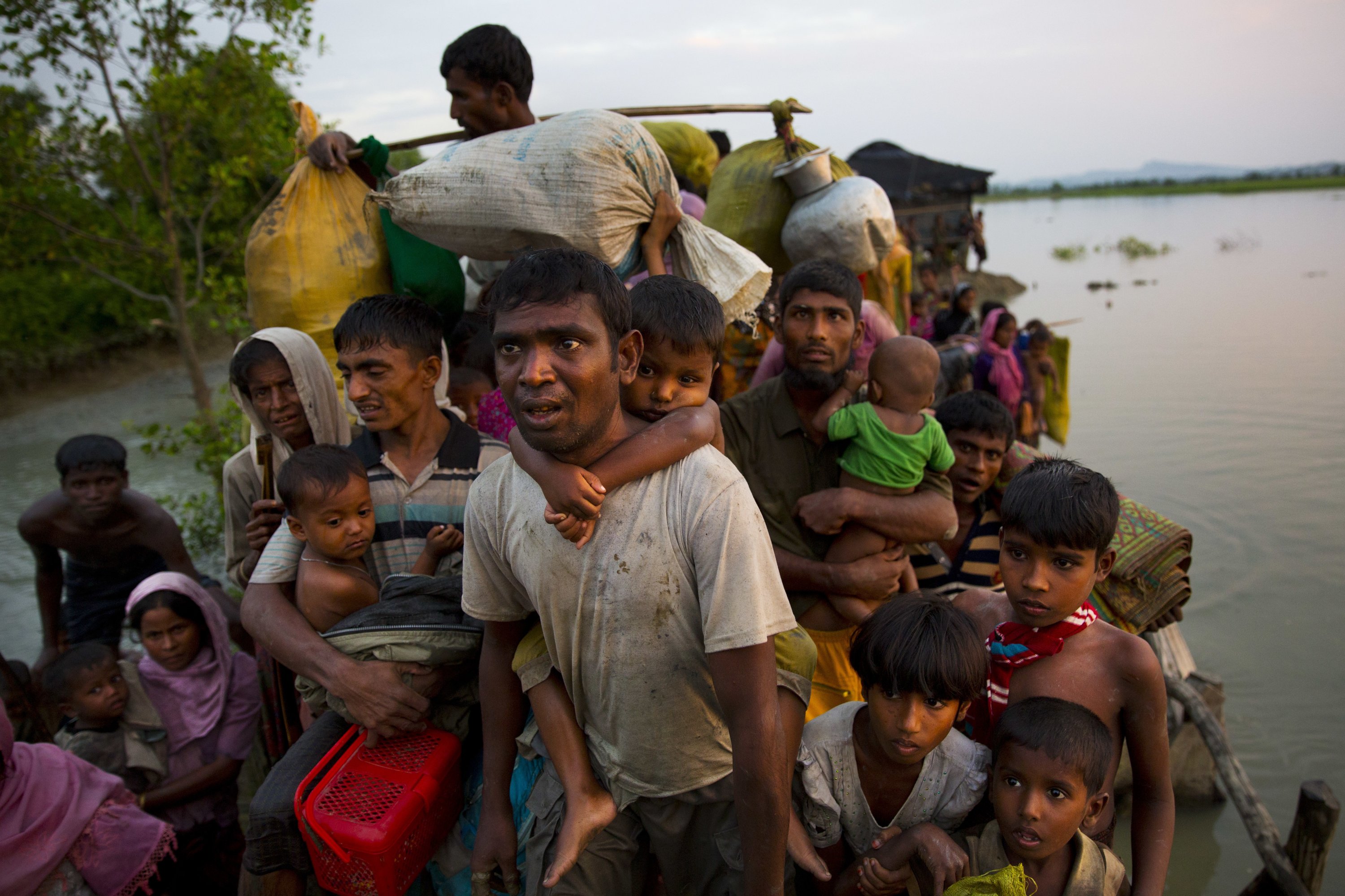 7 years of Rohingya crisis: International community must be serious in the crisis resolution