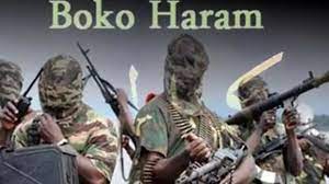 Army thwarts terrorists’ attempt to infiltrate Borno Town