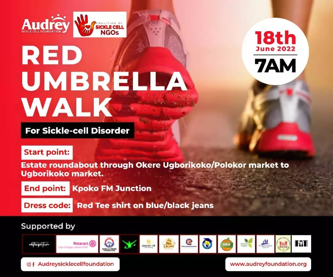 Foundation suggests recipe for reducing sickle cell challenge
