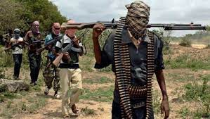 Banditry: Killings at Adani Uzo Umani in Enugu State, has confirmed warning by US Embassy – Ohanaeze Ndigbo