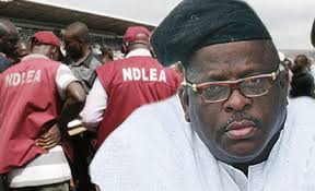 Kashamu: You must adhere to due process, PDP youth leaders task FG