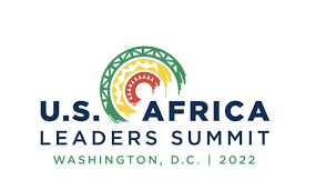 Africa’s Energy Sector Is in Need of Practical, and Not Reactionary, Solutions at the US and African Leaders Summit in Washington DC