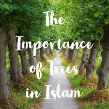 Importance of Tree Planting and Forestry in Islam in the light of Al Quran and Hadith