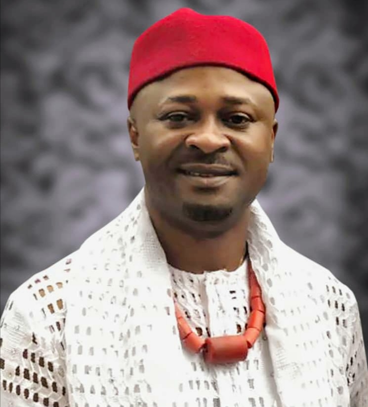 2023: I Am Going To House Of Representatives To Give My People Better Deal- Nwokolo