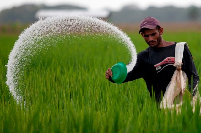 How Bangladesh trying to ensure 'fertilizer security'?