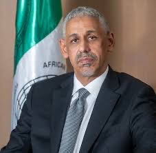 African Development Bank President pledges deeper cooperation with key constituency