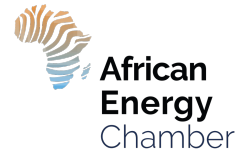 American, African Oil and Gas Players propose measures to ensure sustainability in response to COVID-19