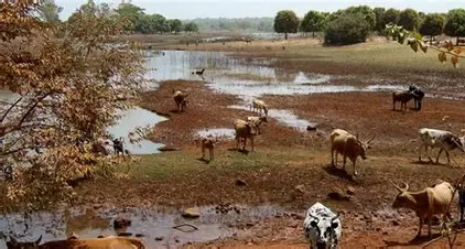 AfDB Approves Over $30 Million to Protect Farmers from Climate Shocks, Food Insecurity in Benin